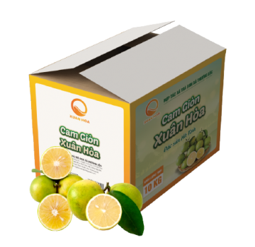 Hộp cam 10 KG