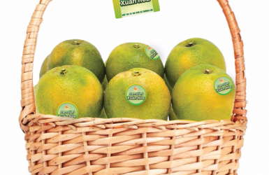 Cam giòn Xuân Hòa