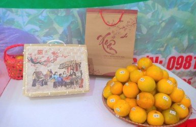 KẾT QUẢ PHÂN TÍCH CHẤT LƯỢNG SẢN PHẨM CAM GIÒN XUÂN HÒA THƯỢNG LỘC