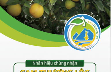 Cam Thượng Lộc - “Ăn” là nhớ cả đời!