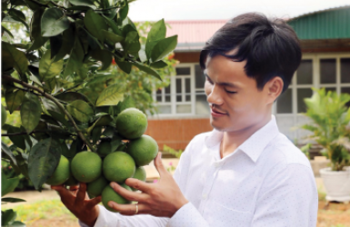 Tự hào thương hiệu Cam giòn Xuân Hòa