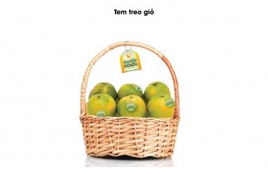 HỒ SƠ TỰ CÔNG BỐ SẢN PHẨM CAM GIÒN XUÂN HÒA THƯỢNG LỘC